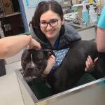 Dozer - Large Loving House Hippo and PIt Bull